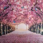 A pathway lined with trees covered in pink blossoms, with petals on the ground, glowing lights, and blue butterflies throughout the scene.